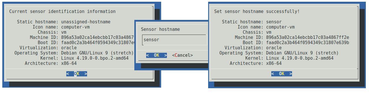 Specifying a new sensor hostname