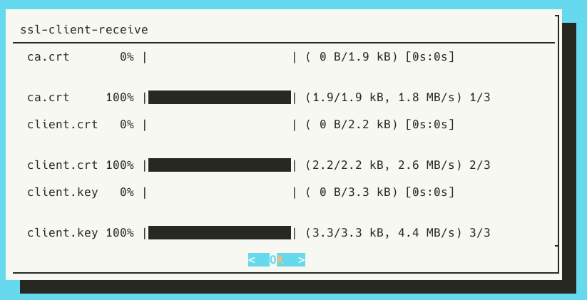 SSL Certificate Transfer, Hedgehog Side - 03